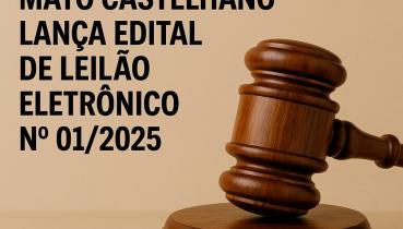 Prefeitura de Mato Castelhano lana Edital de Leilo Eletrnico n 01/2025